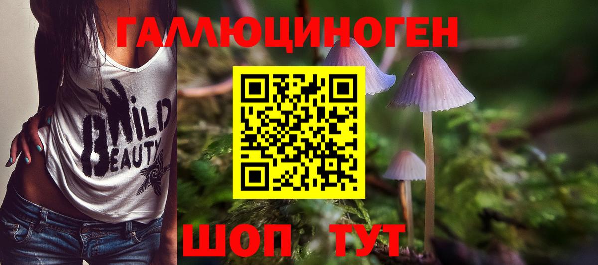 Красноуфимск  Галлюциногенные грибы MAGIC MUSHROOMS  Вход с VPN 
